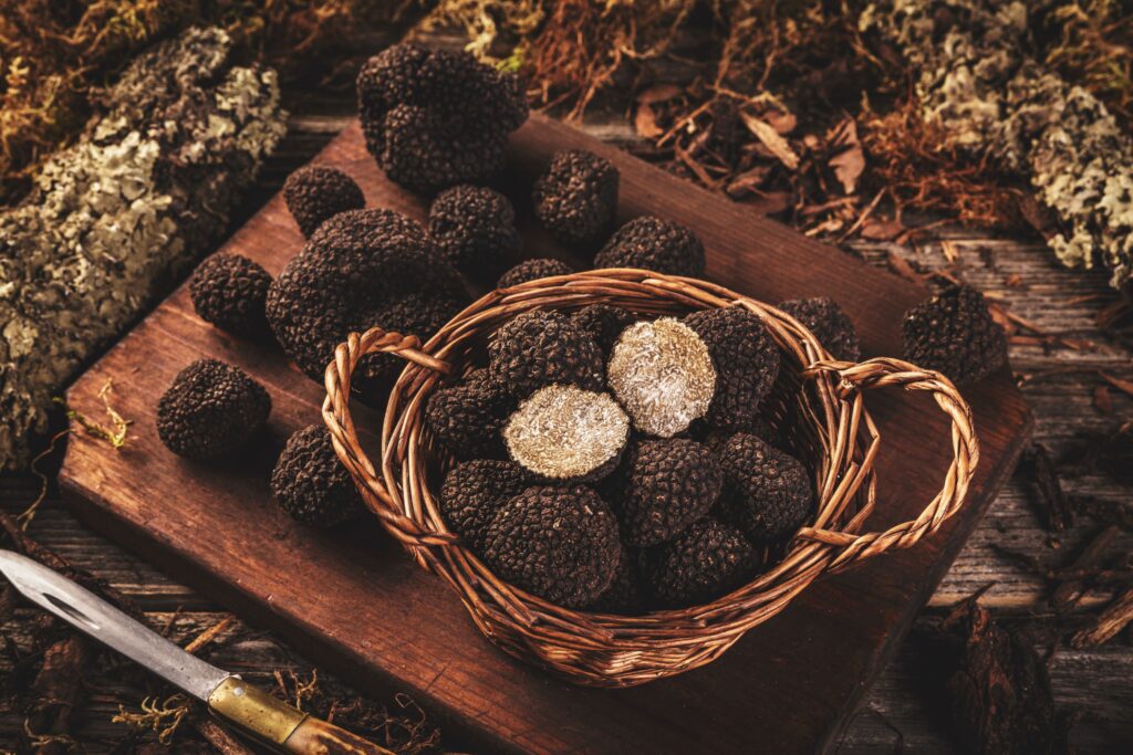 Fresh white Alba truffles shaved over pasta dish showcasing premium European culinary experiences