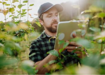 Sustainable agriculture in action as European farmers
