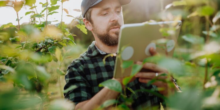 Sustainable agriculture in action as European farmers