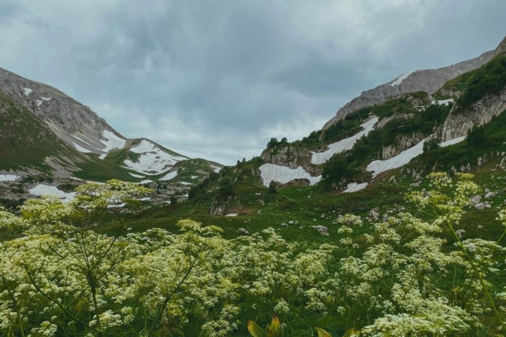 Spring road trip Europe through alpine landscape with wildflowers and snow-capped peaks