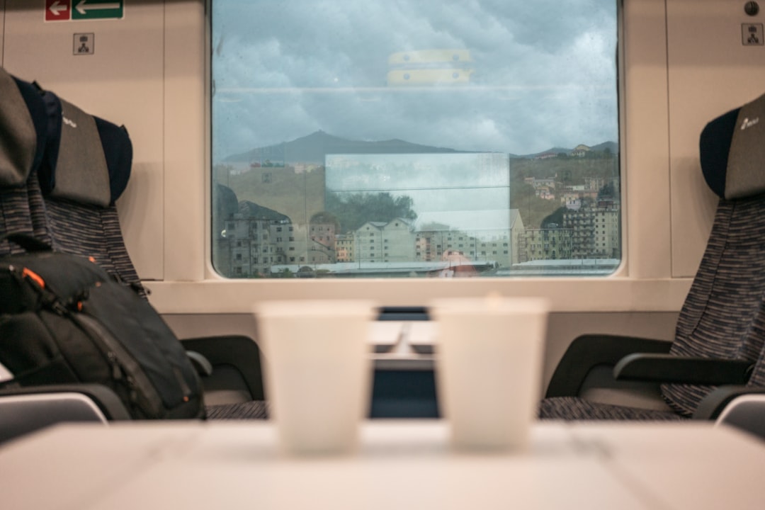 A solo traveller relaxing by the window on a European train after activating his rail passes