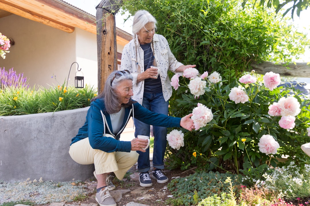 An older woman receiving care outdoors in summer, representing the importance of protecting vulnerable people.