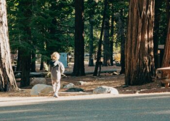A child explores a forest trail at an EU nature camp, surrounded by tall trees and soft morning light.