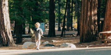 A child explores a forest trail at an EU nature camp, surrounded by tall trees and soft morning light.