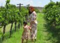 A mother and child share a harvest experience among vineyard rows during the EU grape harvest season