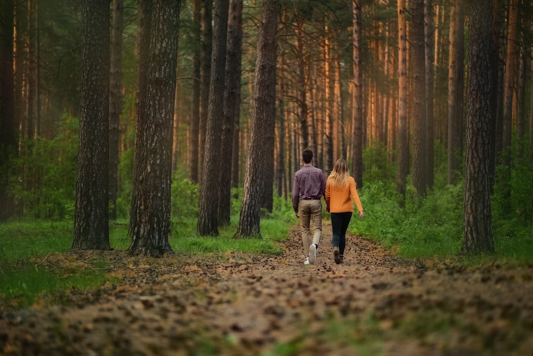 A couple walks through a misty European woodland on a certified forest bathing programme, surrounded by ancient trees.