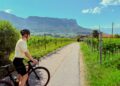 A woman rides one of France's most celebrated cycling routes through golden Loire Valley vineyards during harvest season.