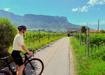 A woman rides one of France's most celebrated cycling routes through golden Loire Valley vineyards during harvest season.