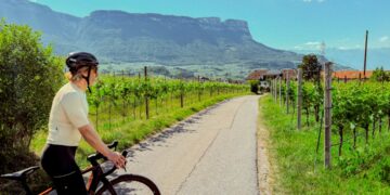 A woman rides one of France's most celebrated cycling routes through golden Loire Valley vineyards during harvest season.