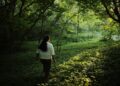 A woman walks slowly along a sunlit forest path during a guided forest bathing session in Europe.