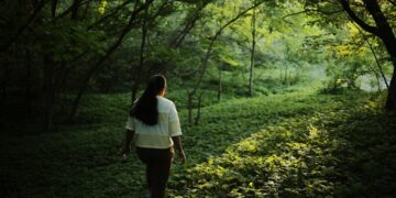 A woman walks slowly along a sunlit forest path during a guided forest bathing session in Europe.