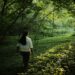 A woman walks slowly along a sunlit forest path during a guided forest bathing session in Europe.