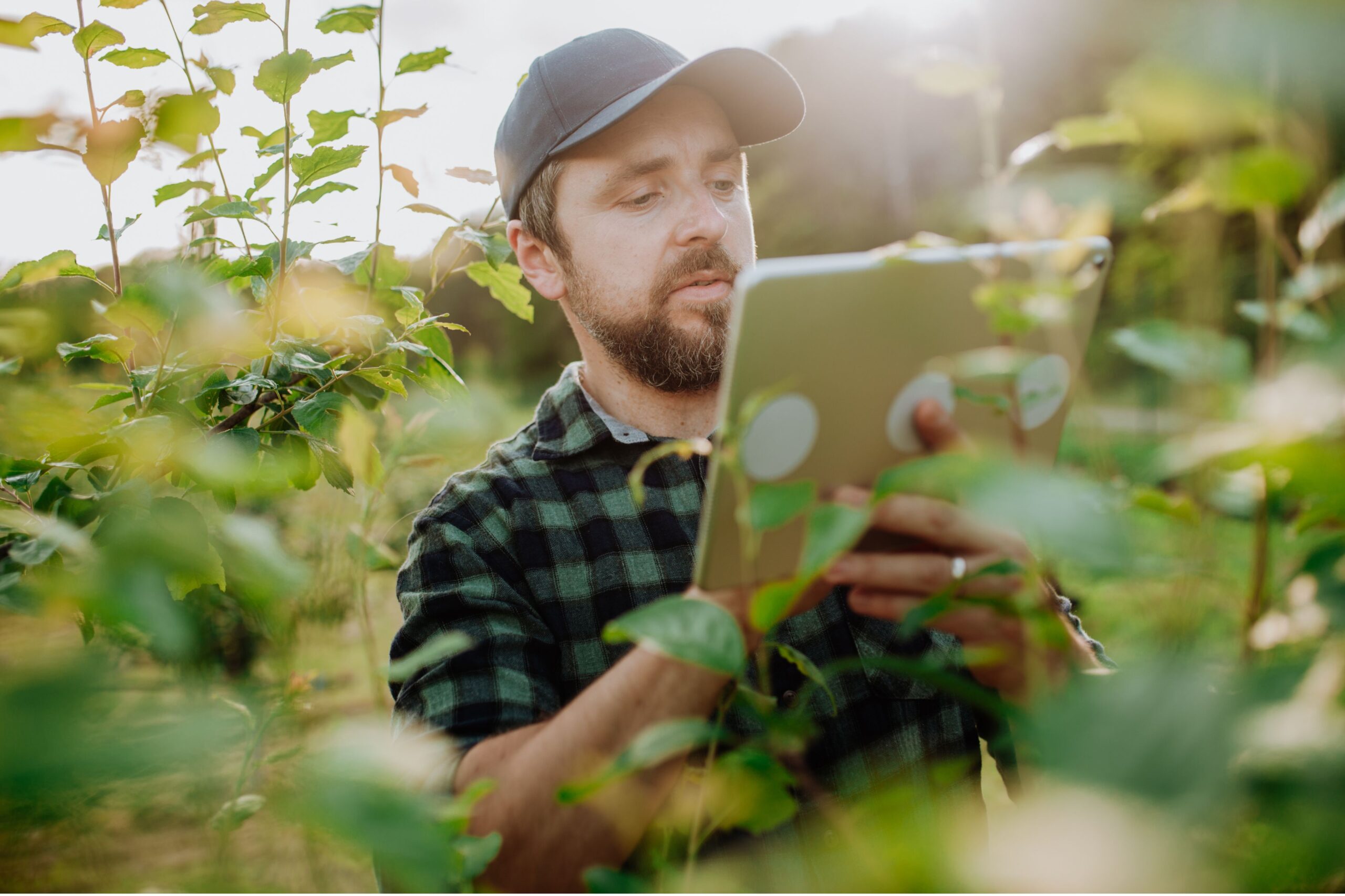 Agricoltura sostenibile in azione con gli agricoltori europei