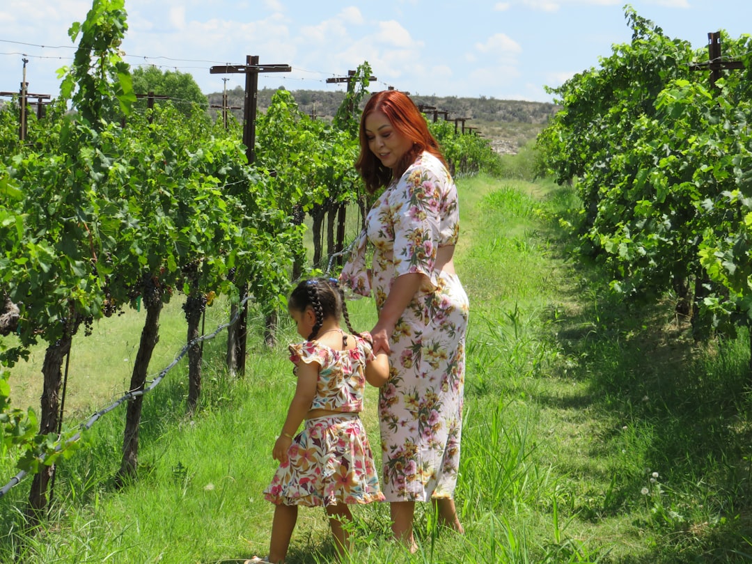 Uma mãe e um filho compartilham uma experiência de colheita entre fileiras de vinhedos durante a temporada de colheita de uvas da UE