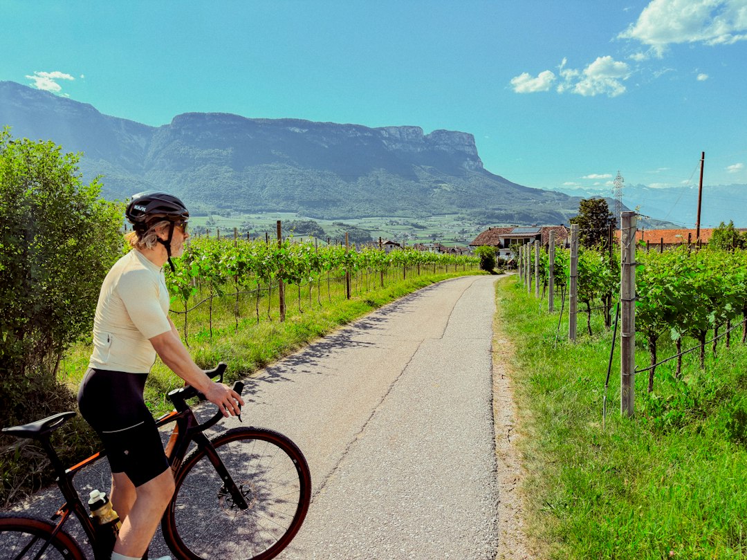 Uma mulher pedala por uma das rotas de ciclismo mais celebradas de França através das vinhas douradas do Vale do Loire durante a época da colheita.